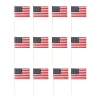 Hot Windy City Novelties American 12"x18" Cloth Flags