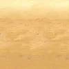 Hot Windy City Novelties Desert Sand Room Roll