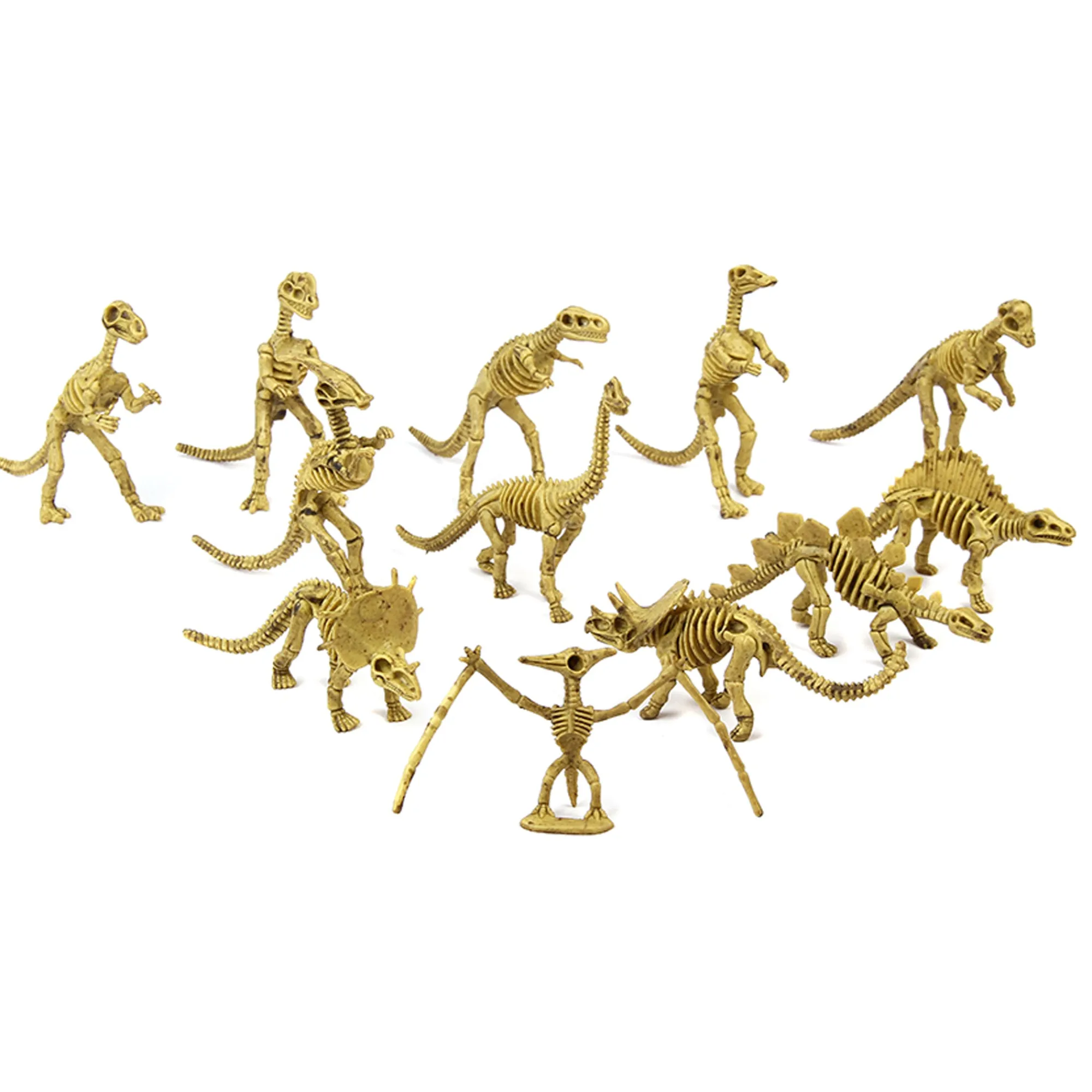 Outlet Windy City Novelties Dinosaur Fossil Skeletons