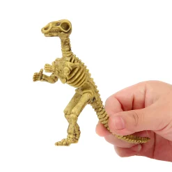 Outlet Windy City Novelties Dinosaur Fossil Skeletons