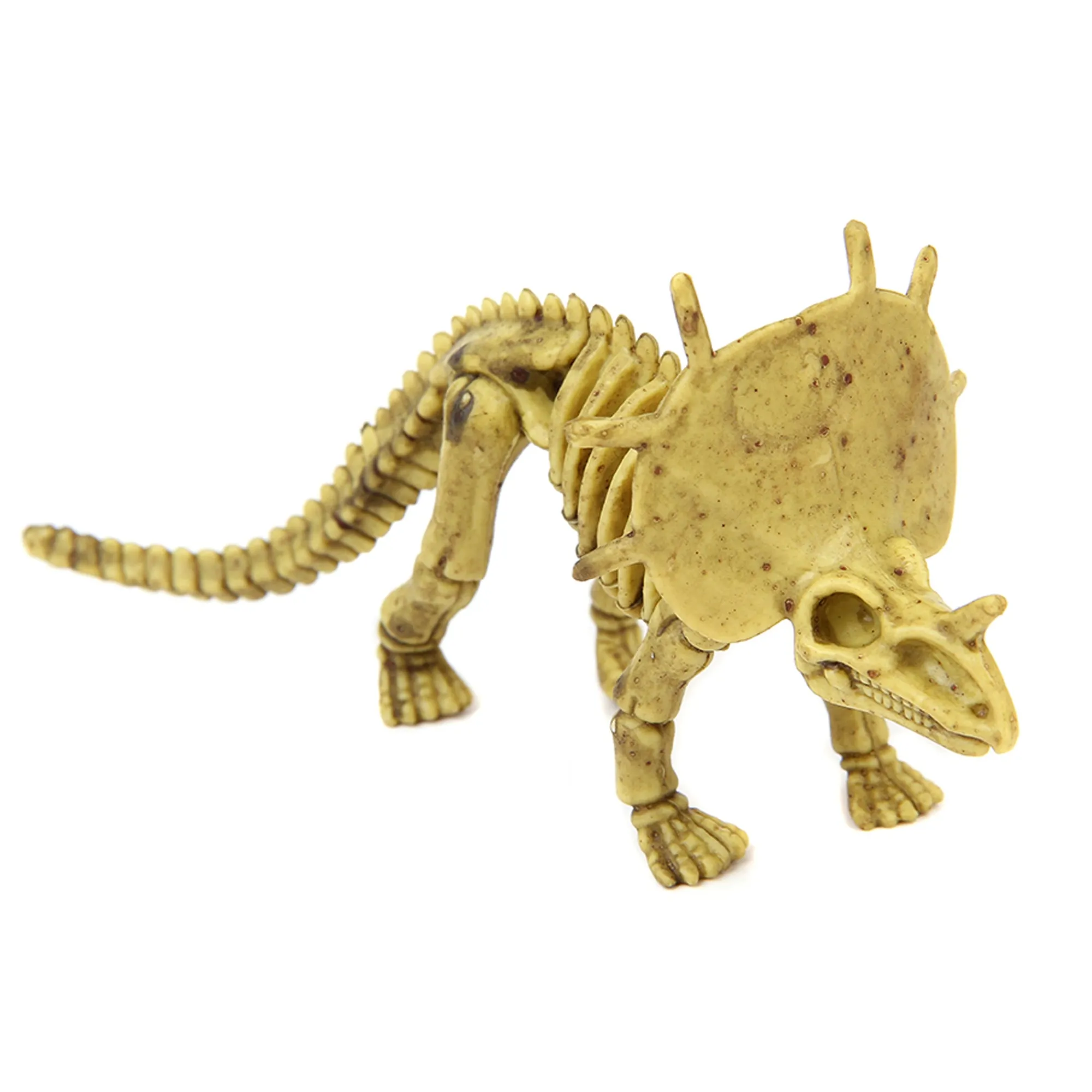 Outlet Windy City Novelties Dinosaur Fossil Skeletons
