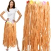 Windy City Novelties Hula Skirt With Flower Band
