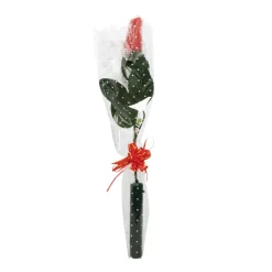 Best Windy City Novelties LED Red Roses