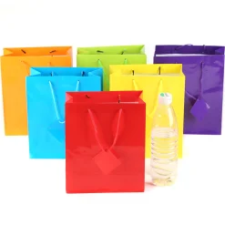 Hot Windy City Novelties Neon Paper Gift Bags