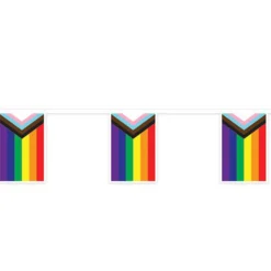 Best Windy City Novelties Progress Pride Flags Pennant Banner