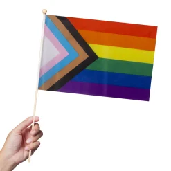 Windy City Novelties Progress Pride Rainbow 12" x 18" Flags