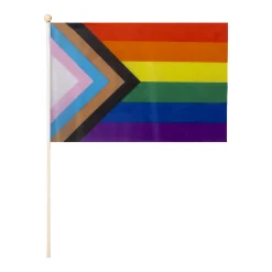 Windy City Novelties Progress Pride Rainbow 12" x 18" Flags