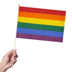 Hot Windy City Novelties Rainbow Pride 12"x18" Cloth Flags