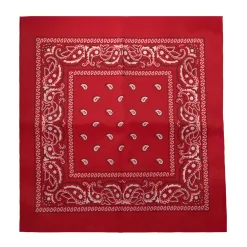 Discount Windy City Novelties Red 21" Paisley Bandanas