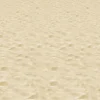 New Windy City Novelties Sandy Beach Room Roll