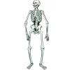 Sale Windy City Novelties Skeleton Jointed Cutout