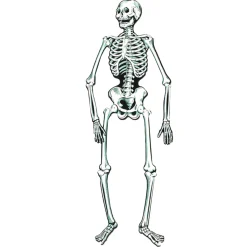 Sale Windy City Novelties Skeleton Jointed Cutout