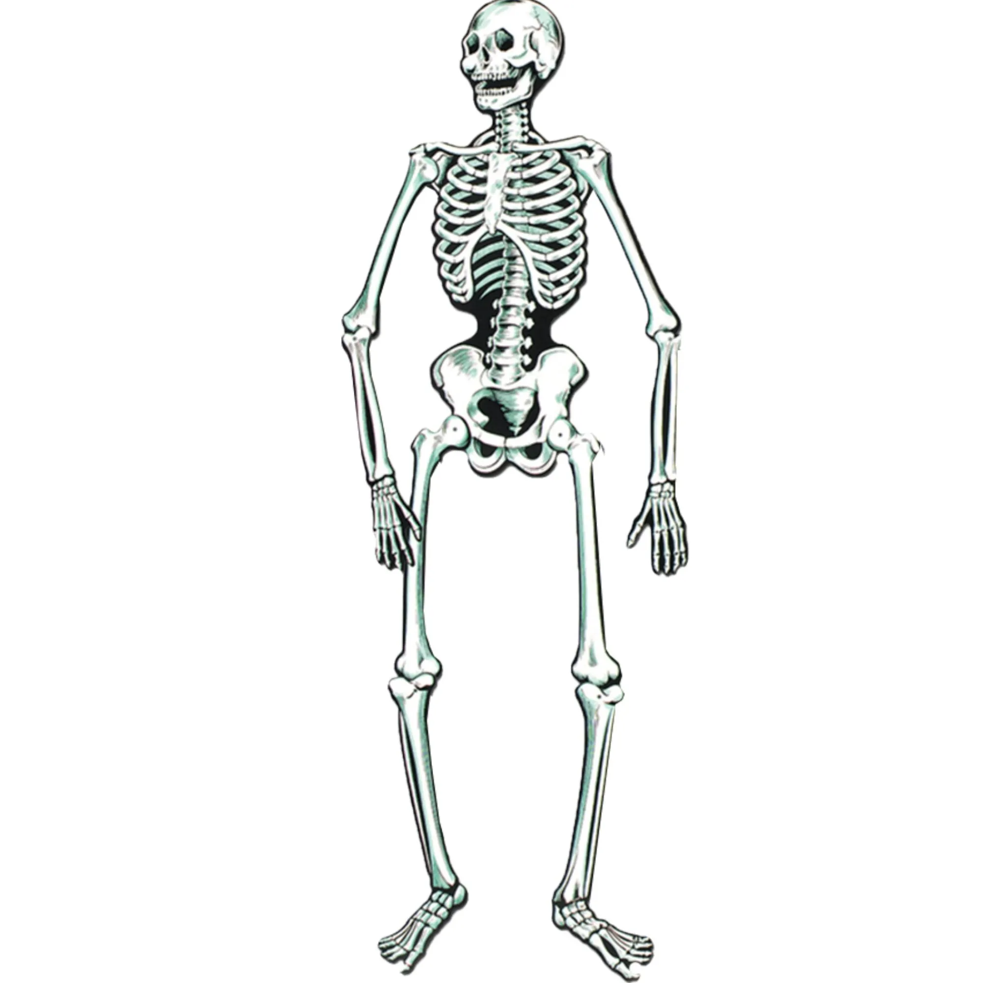 Sale Windy City Novelties Skeleton Jointed Cutout