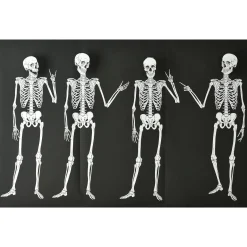 Best Windy City Novelties Skeletons Backdrop