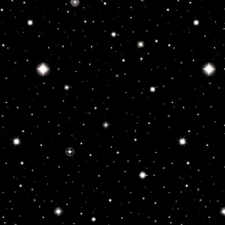 Windy City Novelties Starry Nights Scene Setter
