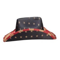 Discount Windy City Novelties 250th Anniversary Vintage Cowboy Hat