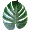 Hot Windy City Novelties Tropical Palm Leaves