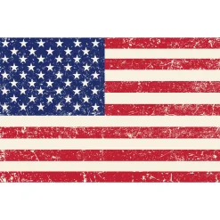 Clearance Windy City Novelties Vintage American Flag Backdrop