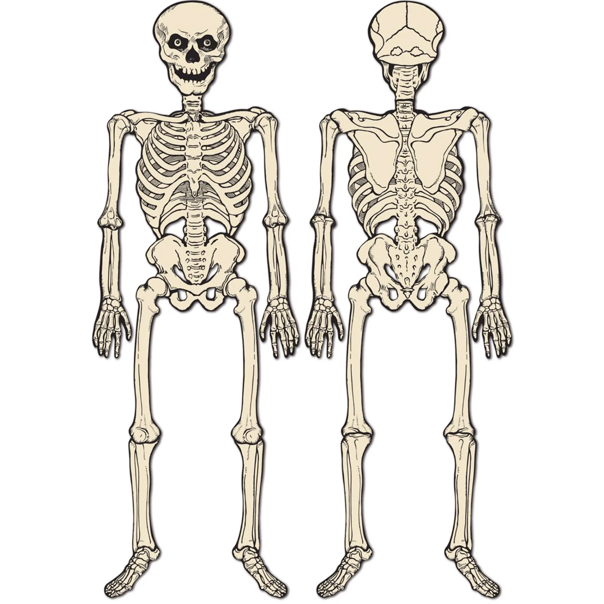 Discount Windy City Novelties Vintage Jointed Skeleton