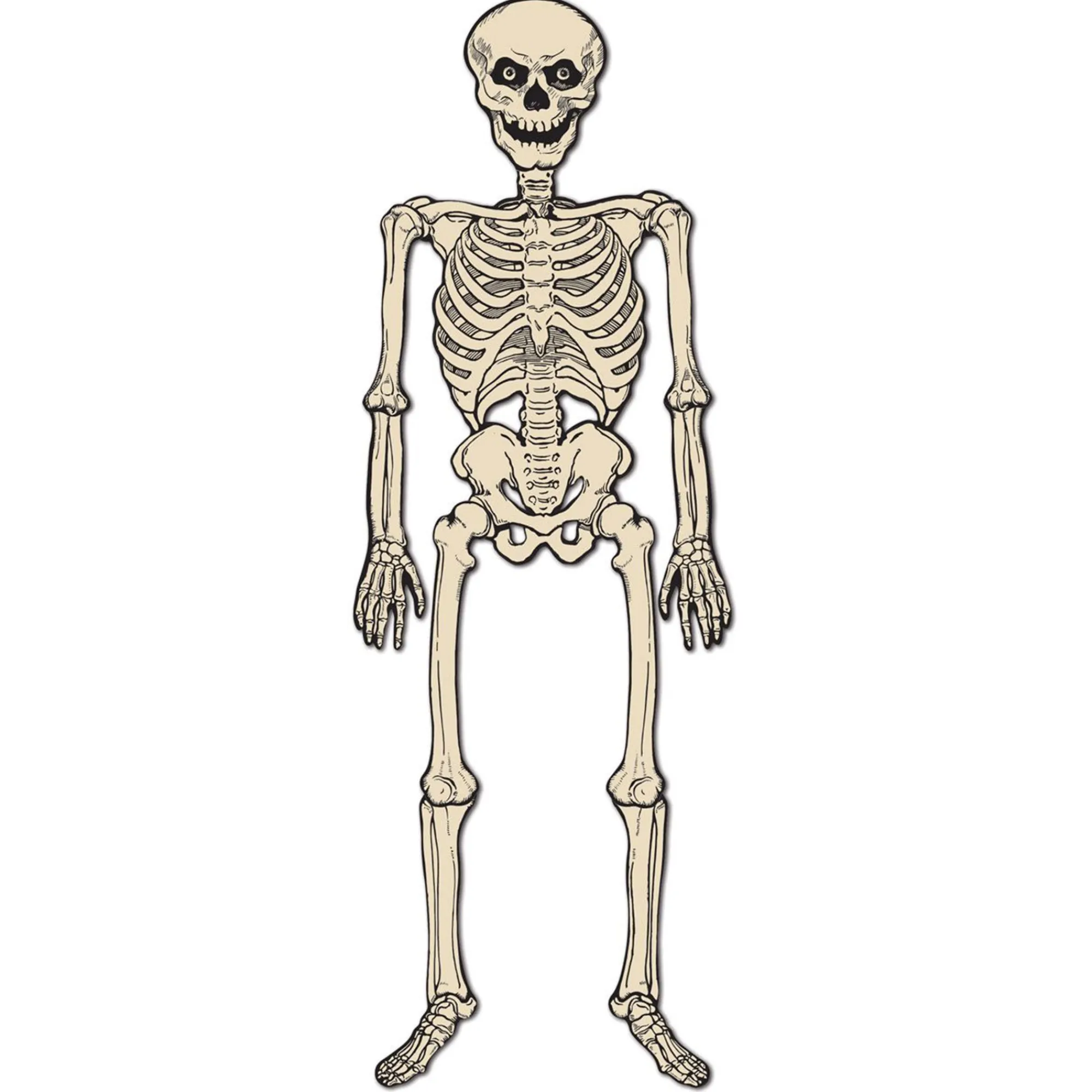 Discount Windy City Novelties Vintage Jointed Skeleton