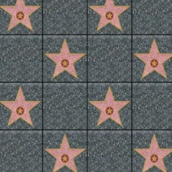 Best Windy City Novelties Walk of Fame Stars Room Roll