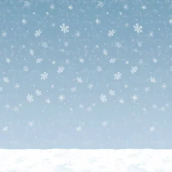 Windy City Novelties Winter Sky 30' Backdrop