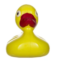 Outlet Windy City Novelties Yellow Ducks